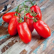 Bio Roma Tomatensamen