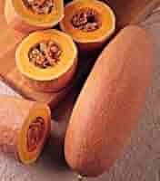 Semi di zucca invernale Banana Rosa