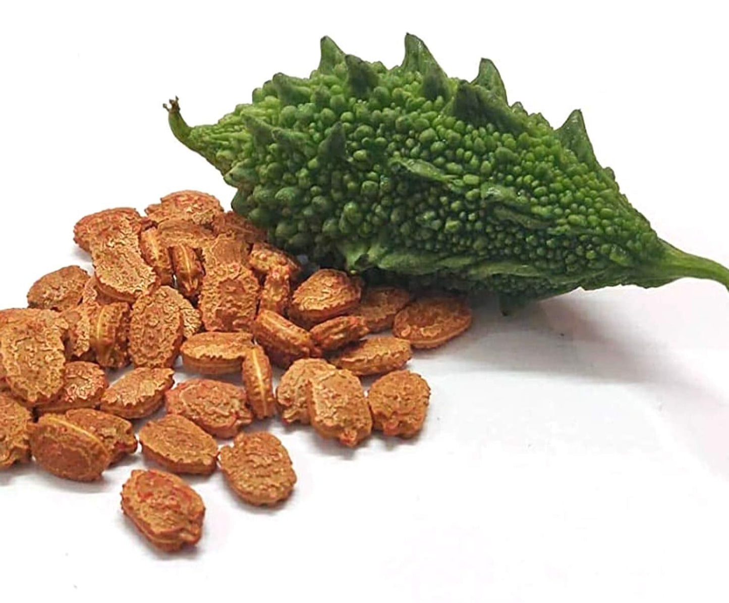 野菜栽培用ゴーヤの種