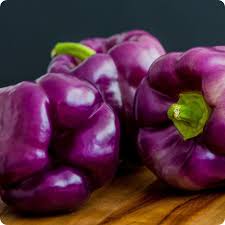 Graines de poivron doux - violet