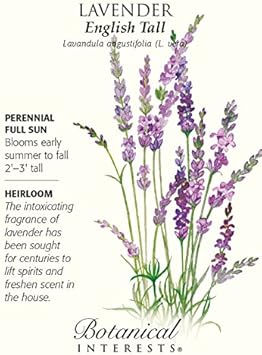 Lavender Fargo Flower seeds for Planting - Hardy Variety, Heirloom & GMO Free Seeds for Home Garden
Sale for planting in home garden.