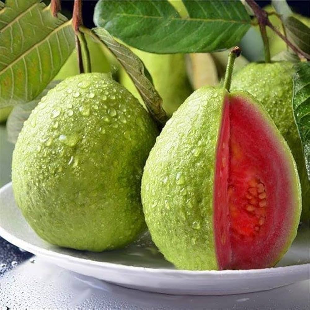 Red Psidium Guajava Guava Fruit Seeds