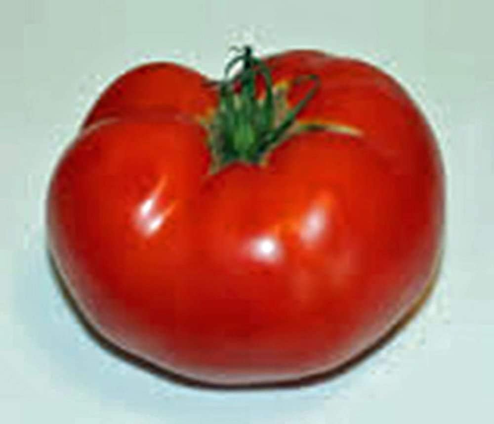 Jet Star Tomato Vegetable Seeds