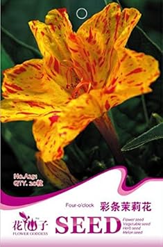 Yellow Red Four O'Clock Flower seeds for Planting - Wildflower Mix, Heirloom & GMO Free Seeds for Home Garden
Sale for planting in home garden