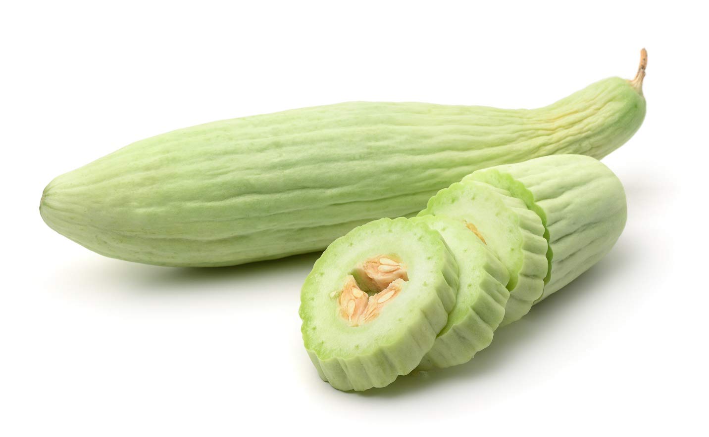 Armenian Yard-Long Cucumber Seeds – Unique Heirloom