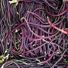Red Noodle Asparagus Bean Seeds