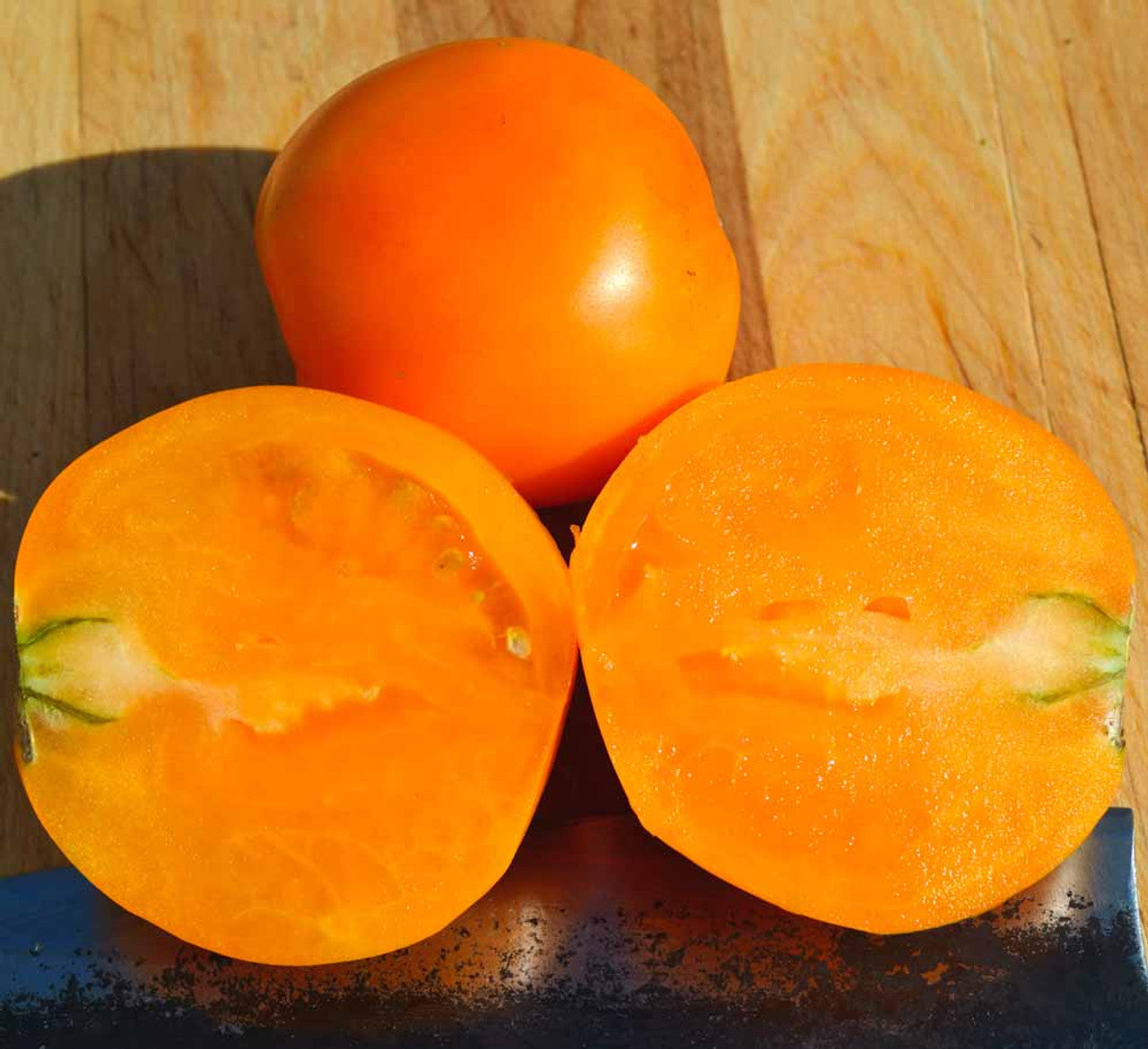 Orangensamen Roma Tomate