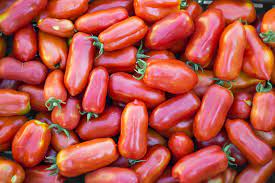 Überlebensgarten Paste Tomatensamen Sammlung