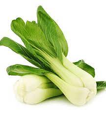 Graines de Bok Choy / Pak Choi VCABO