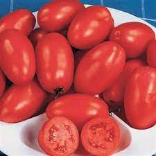 Bio Roma Tomatensamen