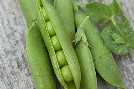 "Asparagus Pea Vegetable Seeds