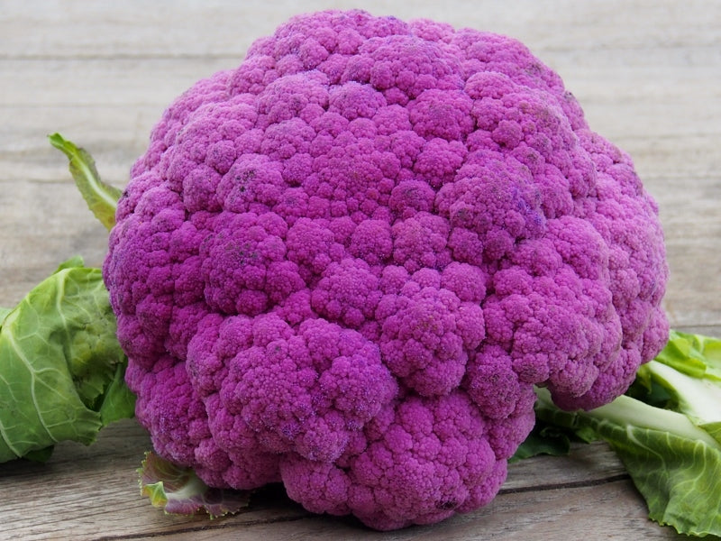 Semi di cavolfiore viola di Sicilia