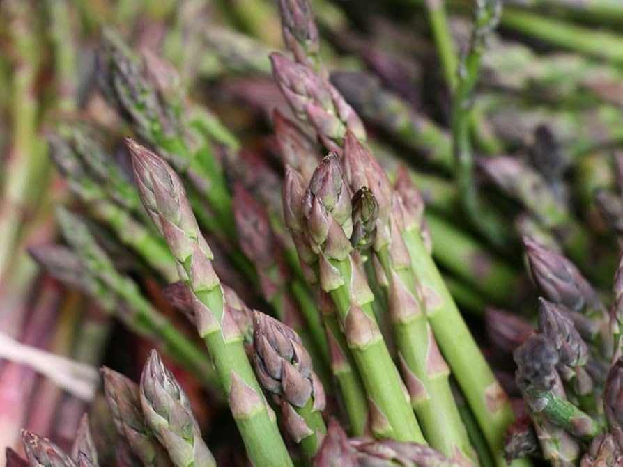 Mary Washington Asparagus Seeds