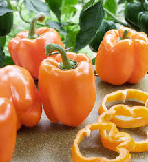 Semi di Peperone Dolce - Arancione