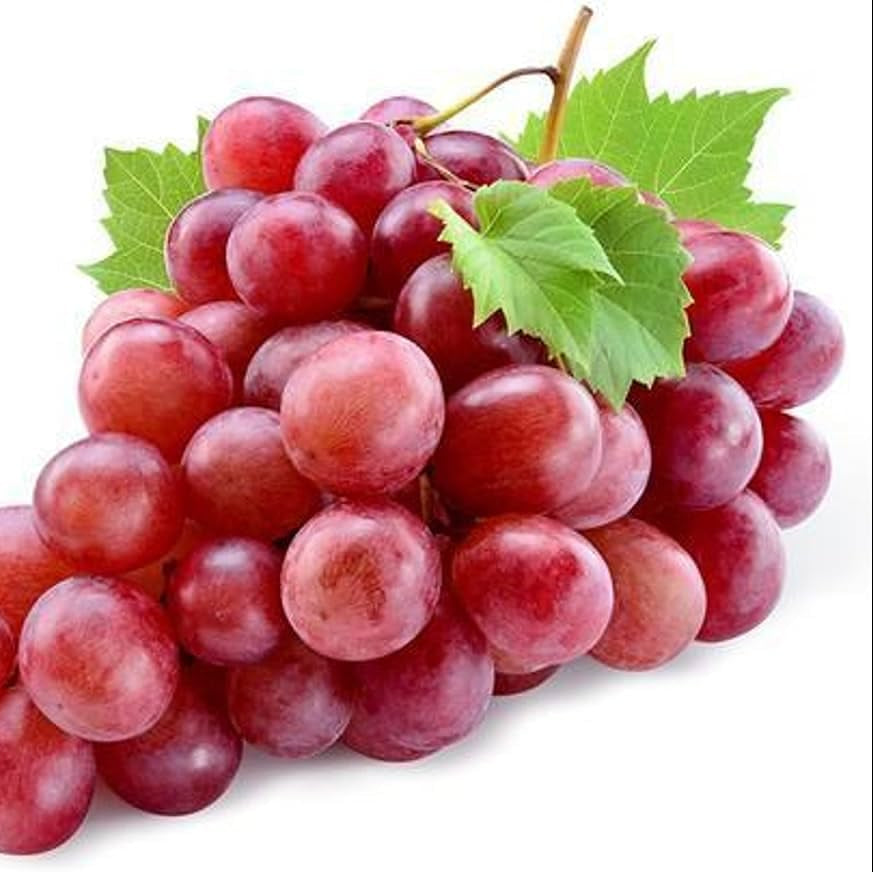 Red Globe Grape Fruit Seeds for Planting – Heirloom, Non-GMO, Easy to Grow, Sweet Grapes