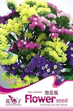 Mixed Sinensis Patula Flower seeds for Planting - Garden Favorite, Heirloom & GMO Free Seeds for Home Garden
Sale for planting in home garden