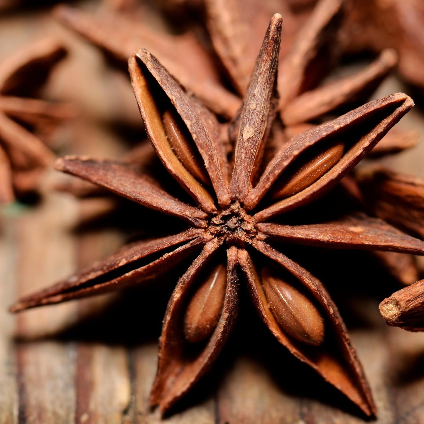 Star Anise Herb Seeds