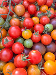 Erbstück Tomatensamen zum Pflanzen