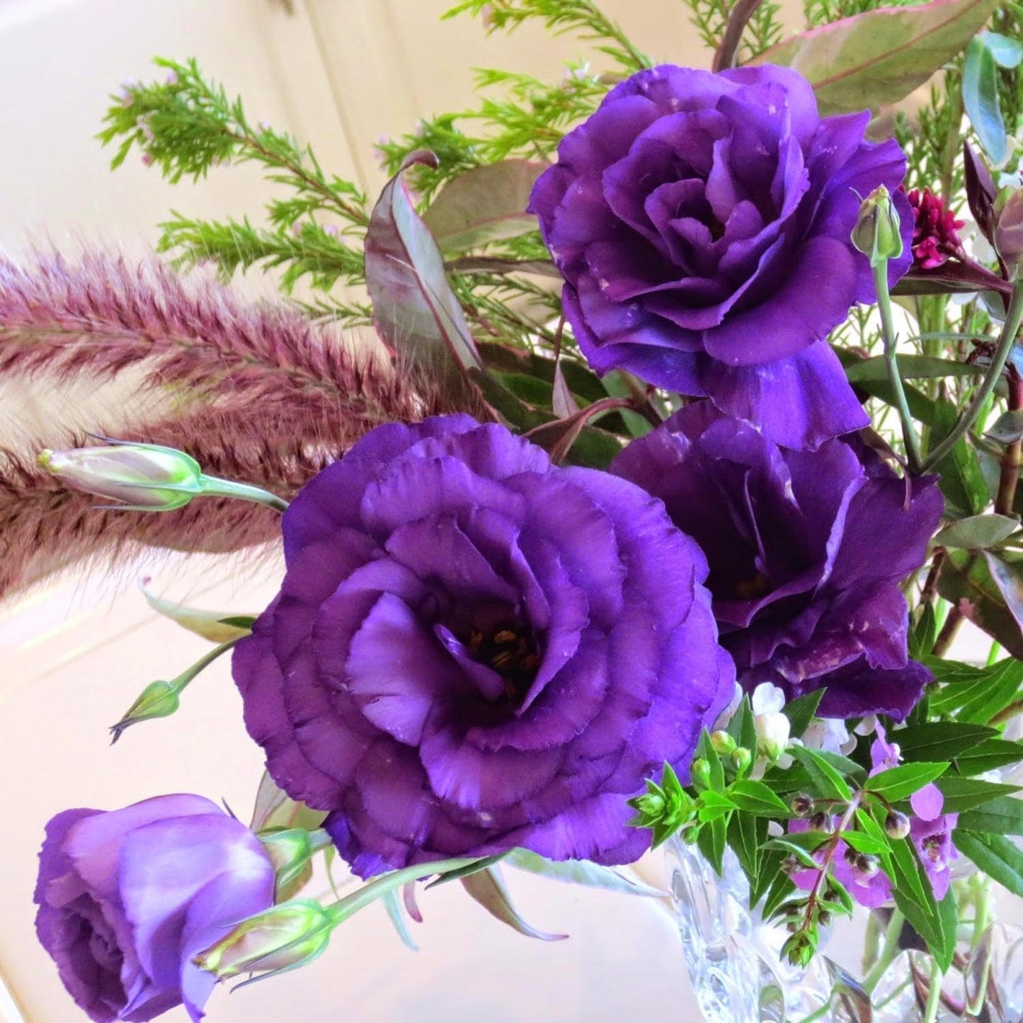 Purple Lisianthus Flower Seeds