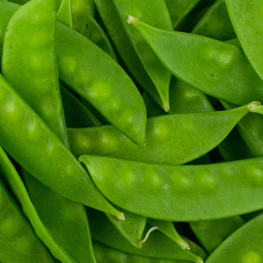 Oregon Sugar Pod Snow Pea Vegetable Seeds