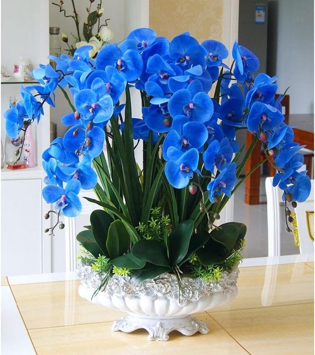 Blue Butterfly Orchid Flower seeds for Planting - Long Bloom Season, Heirloom & GMO Free Seeds for Home Garden
Sale seeds for planting in home garden