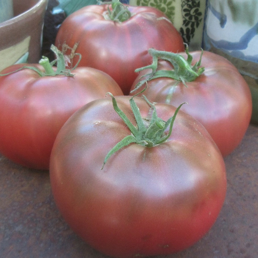 Graines de tomate Cherokee Purple héritage Non-OGM