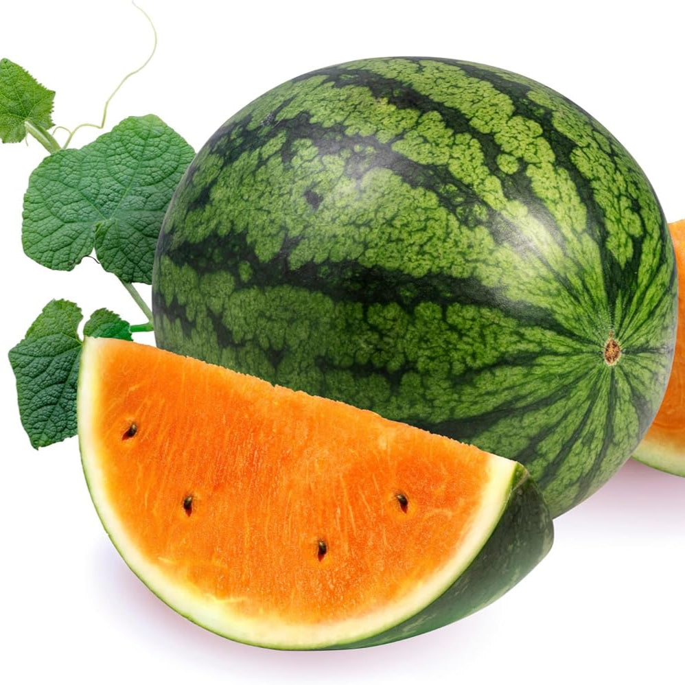 Tendersweet Orange Watermelon Fruit Seeds