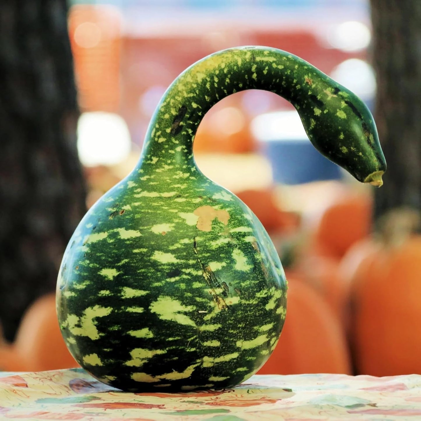 Swan Bottle Gourd Vegetable Seeds