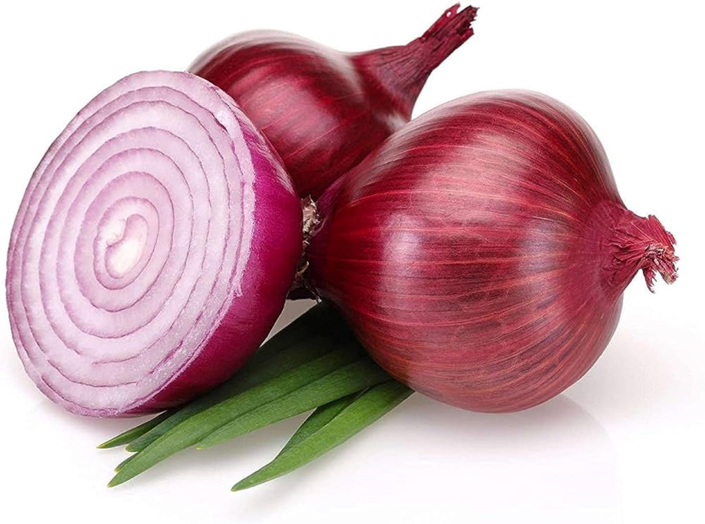 Red Onion vegetable Flower Seeds