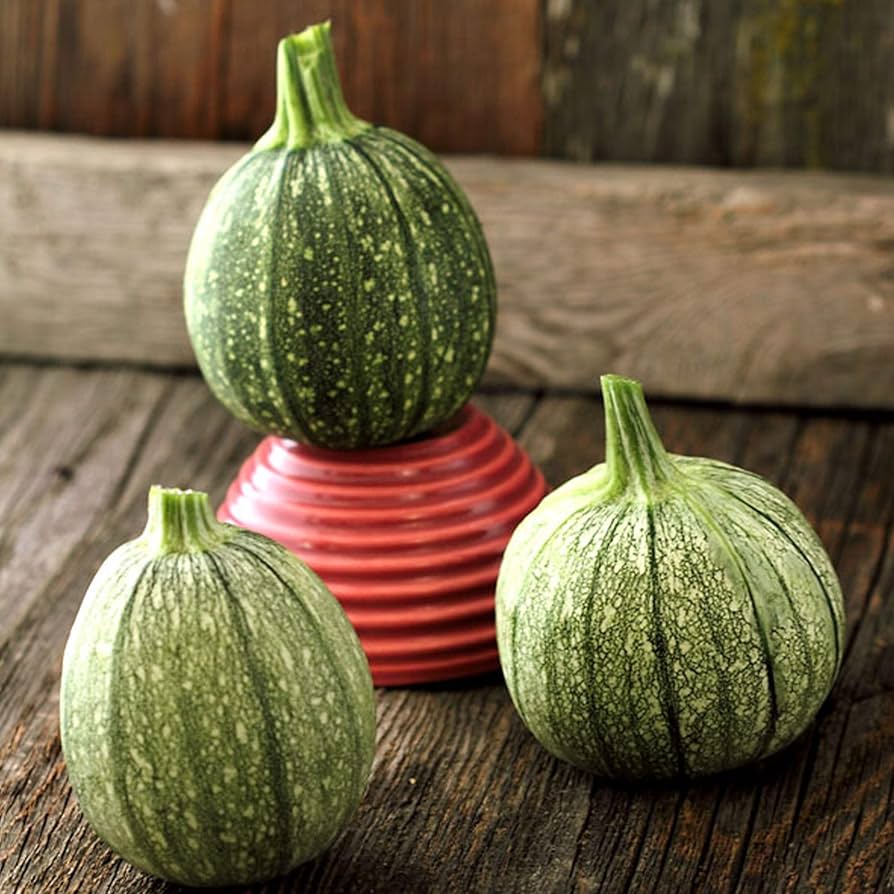 Semi di zucchine da collezione - Miscela rotonda di zucca