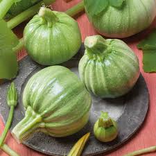 Semi di zucchine da collezione - Miscela rotonda di zucca