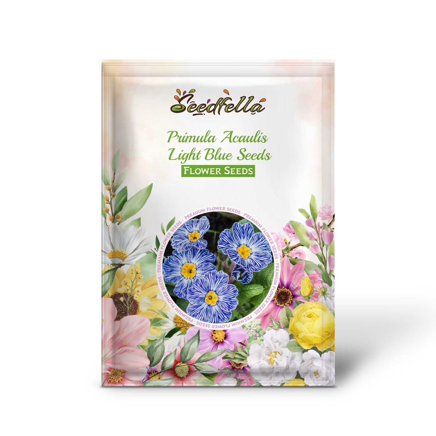 Primula Acaulis Light Blue Seeds for Planting - European Flower Seeds