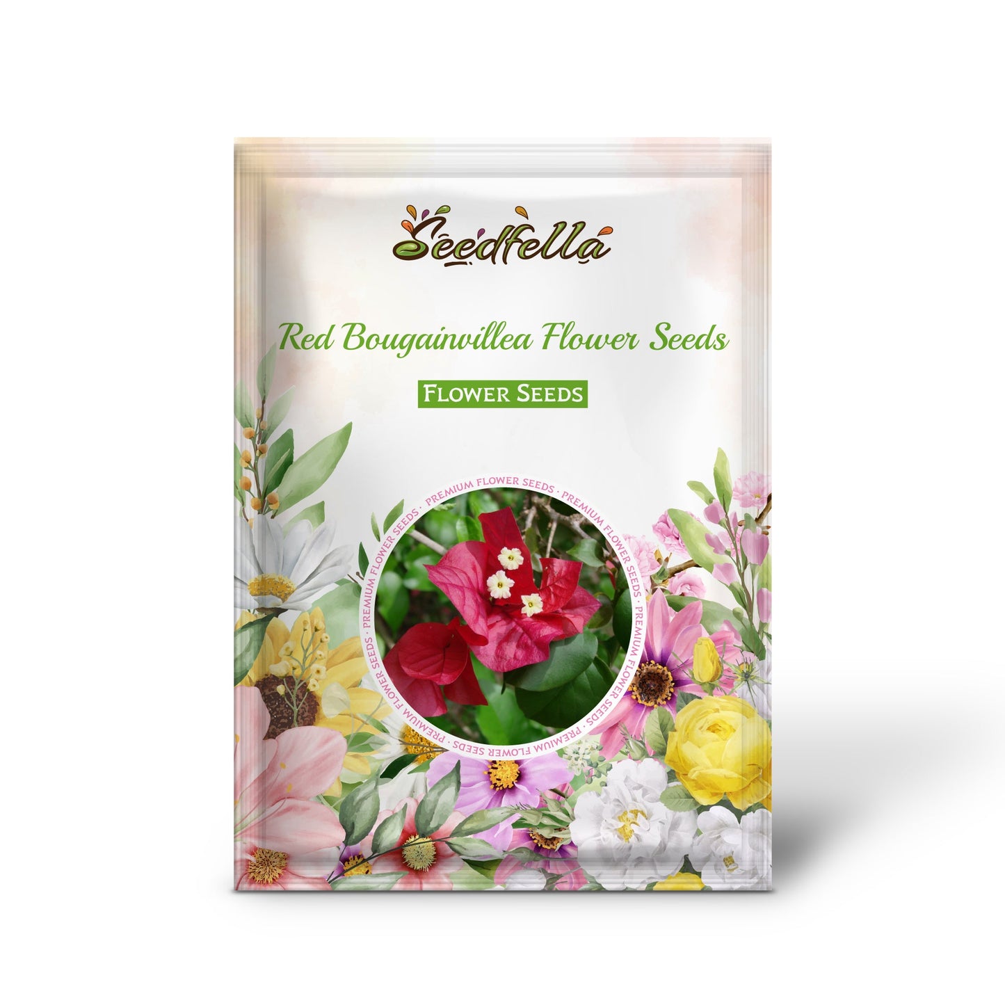 Red Bougainvillea Flower Seeds for Planting