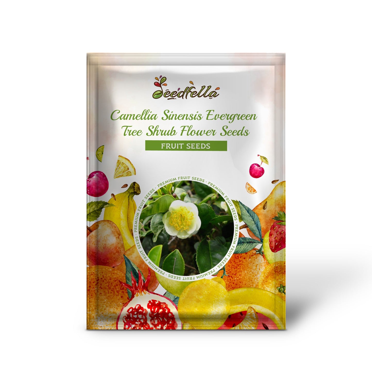 Tea Plant (Black & Green Drinking Tea) Camellia Sinensis Evergreen Tree Shrub Flower Seeds