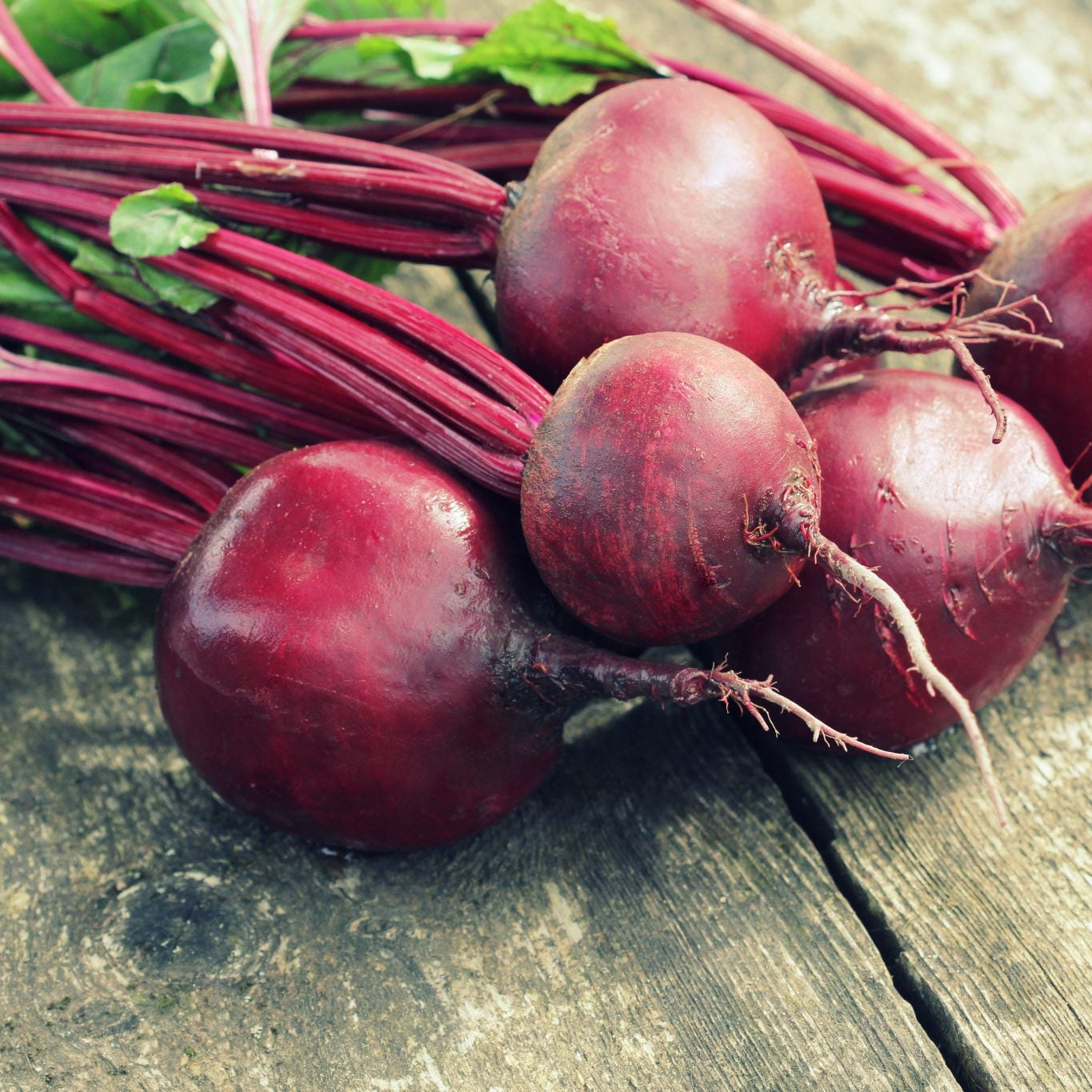 Beet (Beta Vulgaris) Vegetable Seeds – Heirloom, Non-GMO, Easy to Grow