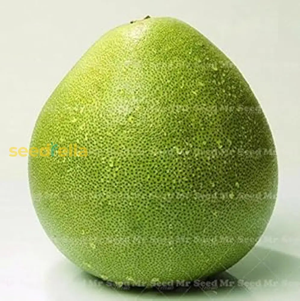 Green Grapefruit Seeds For Easy Planting