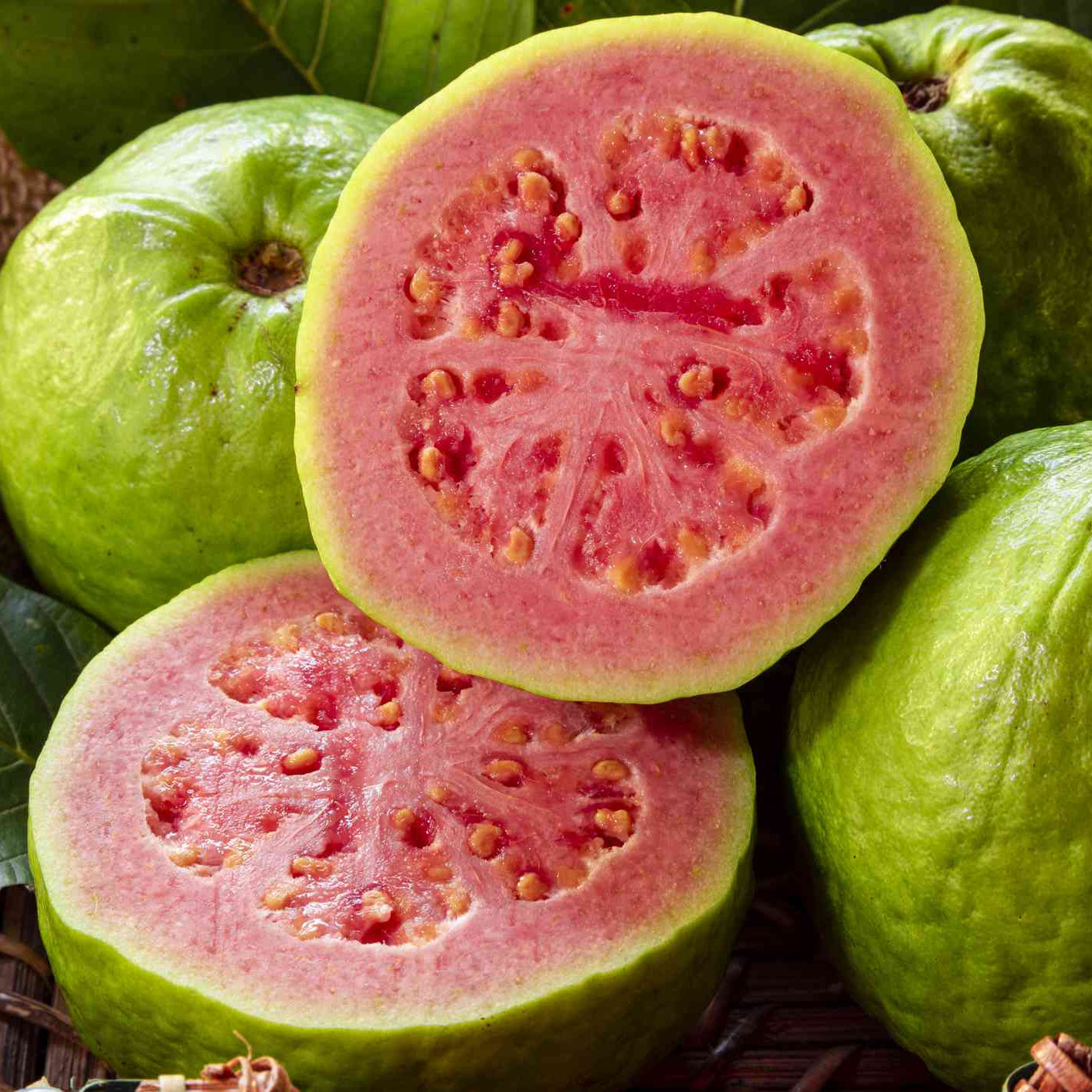 Red Psidium Guajava Guava Fruit Seeds