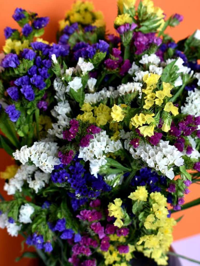 Statice Flower Seeds
