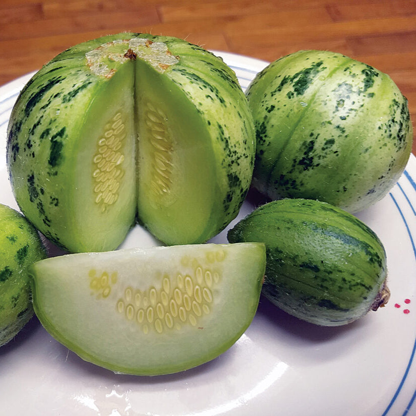 Cucumis Melon Fruit Seeds