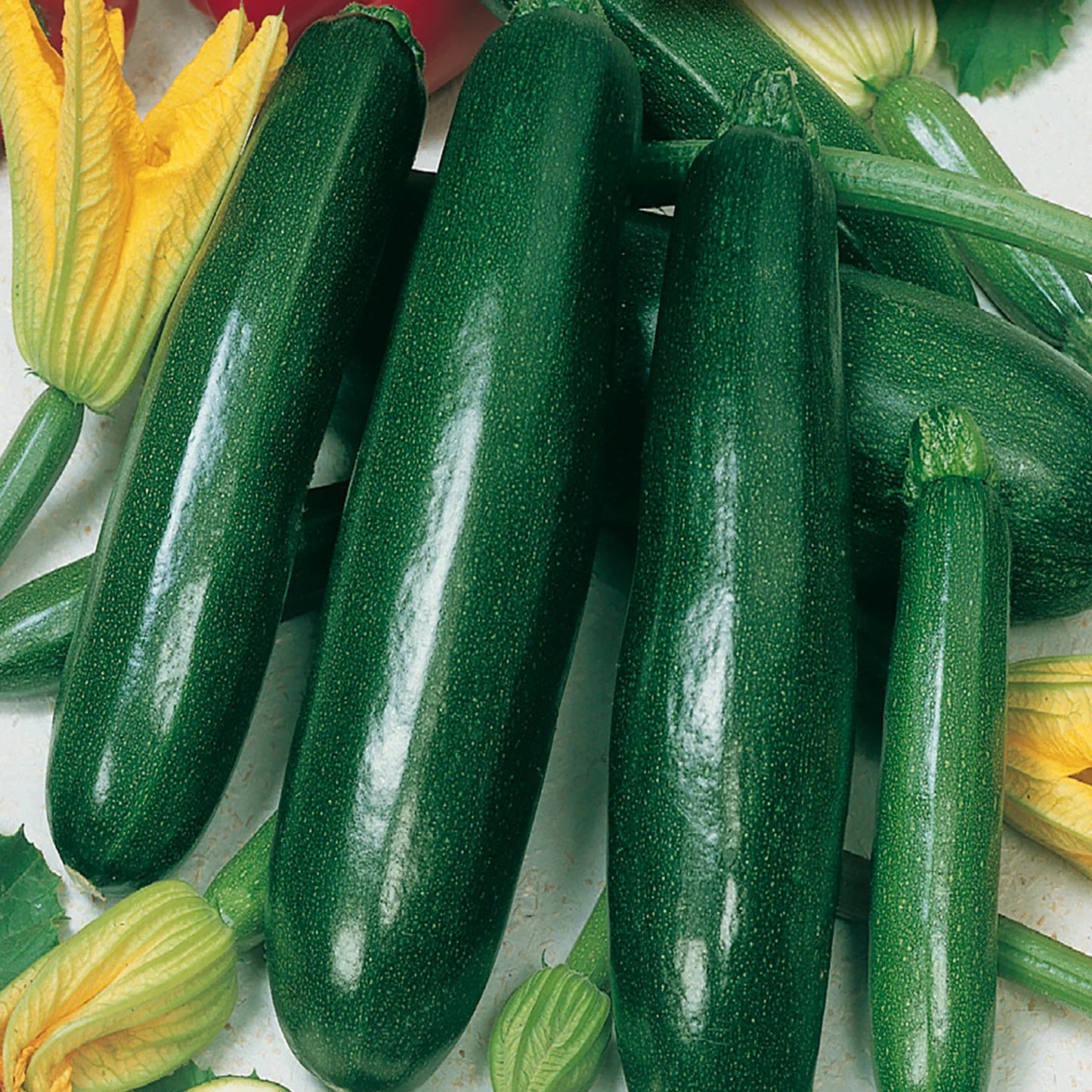 Zucchini Vegetable Seeds