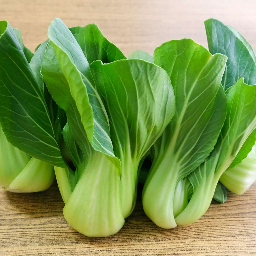 パクチョイ・チンゲンサイ 野菜の種