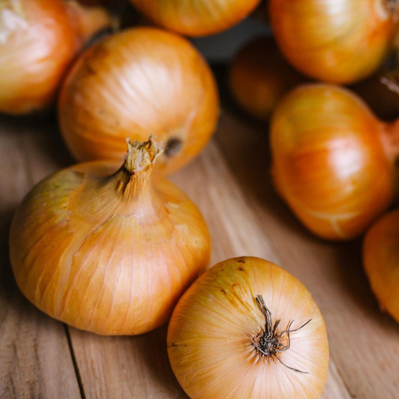 スイートオニオン野菜の種