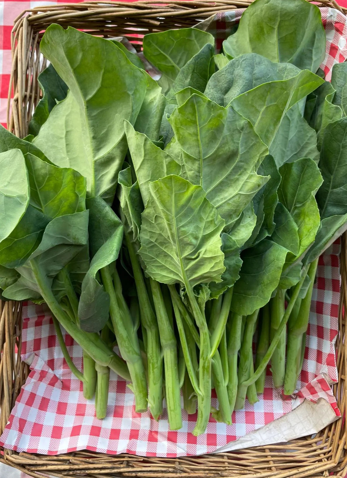 Broccoli Gai Lan Vegetable Seeds