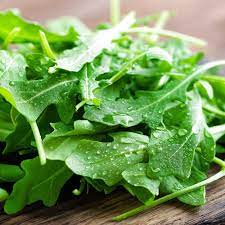 Arugula (Eruca vesicaria sativa) - Greens Vegetable Seeds
