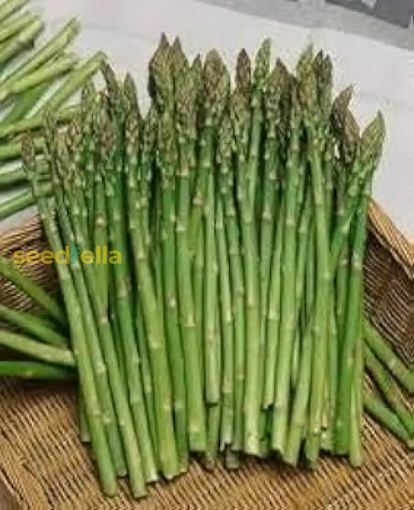 Asparagus Seeds for Planting - Premium Vegetable Garden Seeds