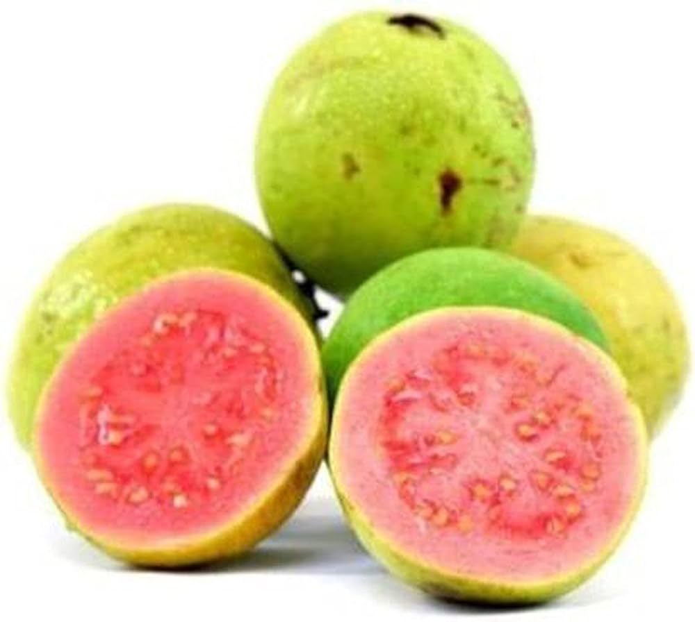 Guava Seeds for Planting Psidium Guajava backyard orchard edible garden