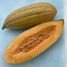 Banana Melon (Cucumis melo) Fruit Seeds