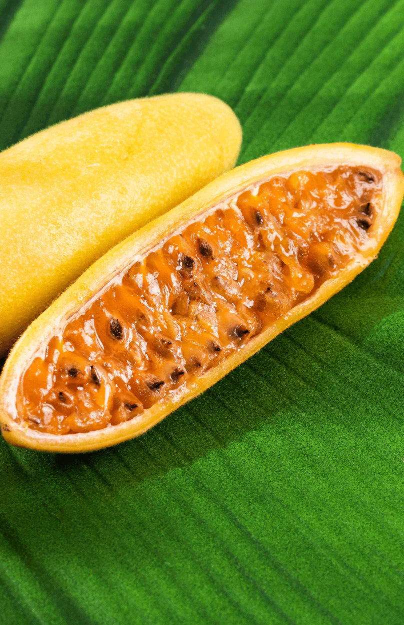 Banana Passion Fruit Seeds - Grow Exotic Plants