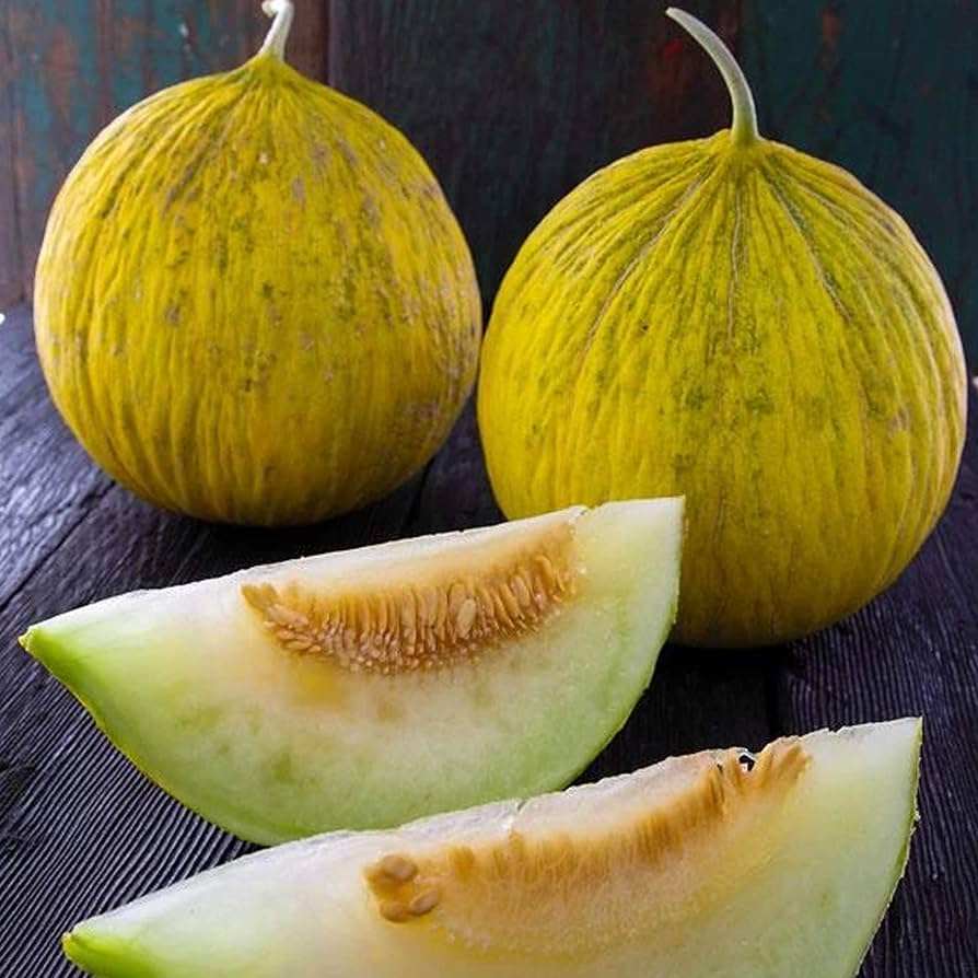 Golden Beauty Casaba Melon (Cucumis Melo) Fruit Seeds – Sweet, Golden Melon Variety for Your Garden