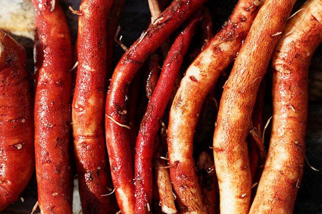 Chinese Red-Rooted Sage (Salvia miltiorrhiza) Seeds